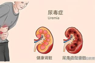 半岛电子官网首页网址查询下载截图1